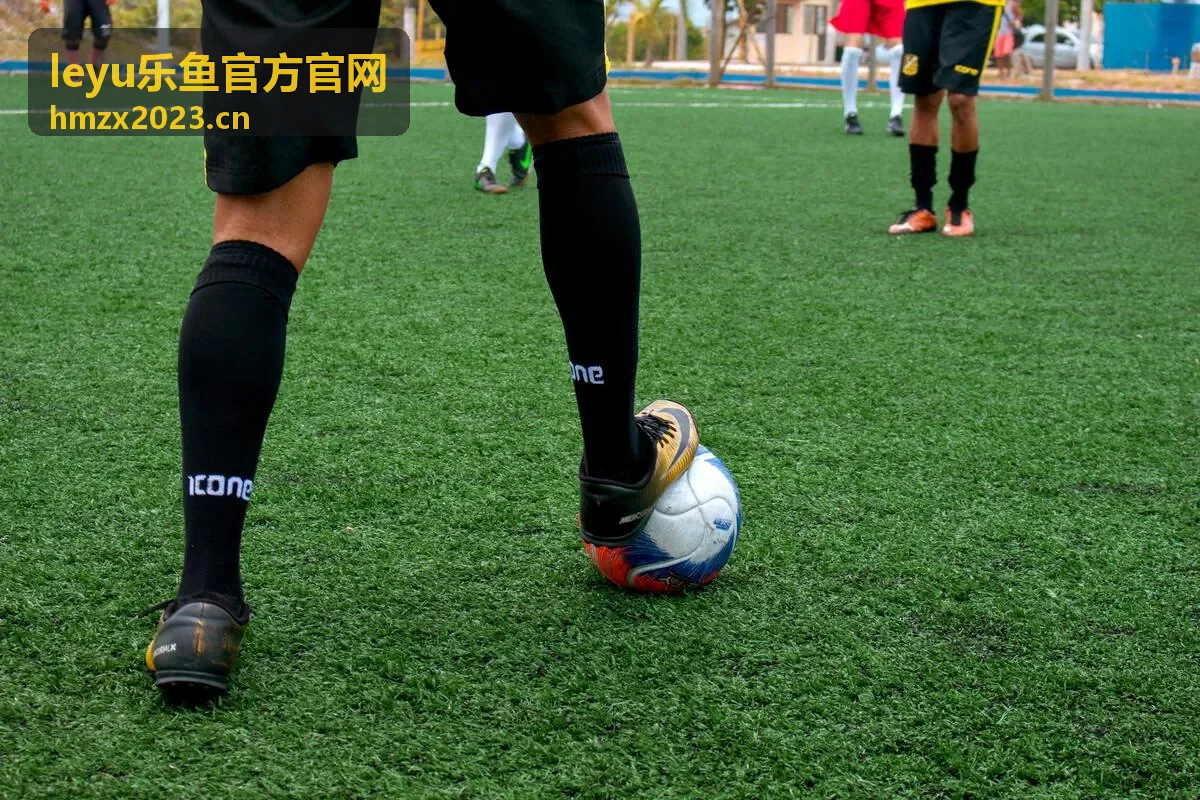 leyu乐鱼尊享会员增值服务说明封面